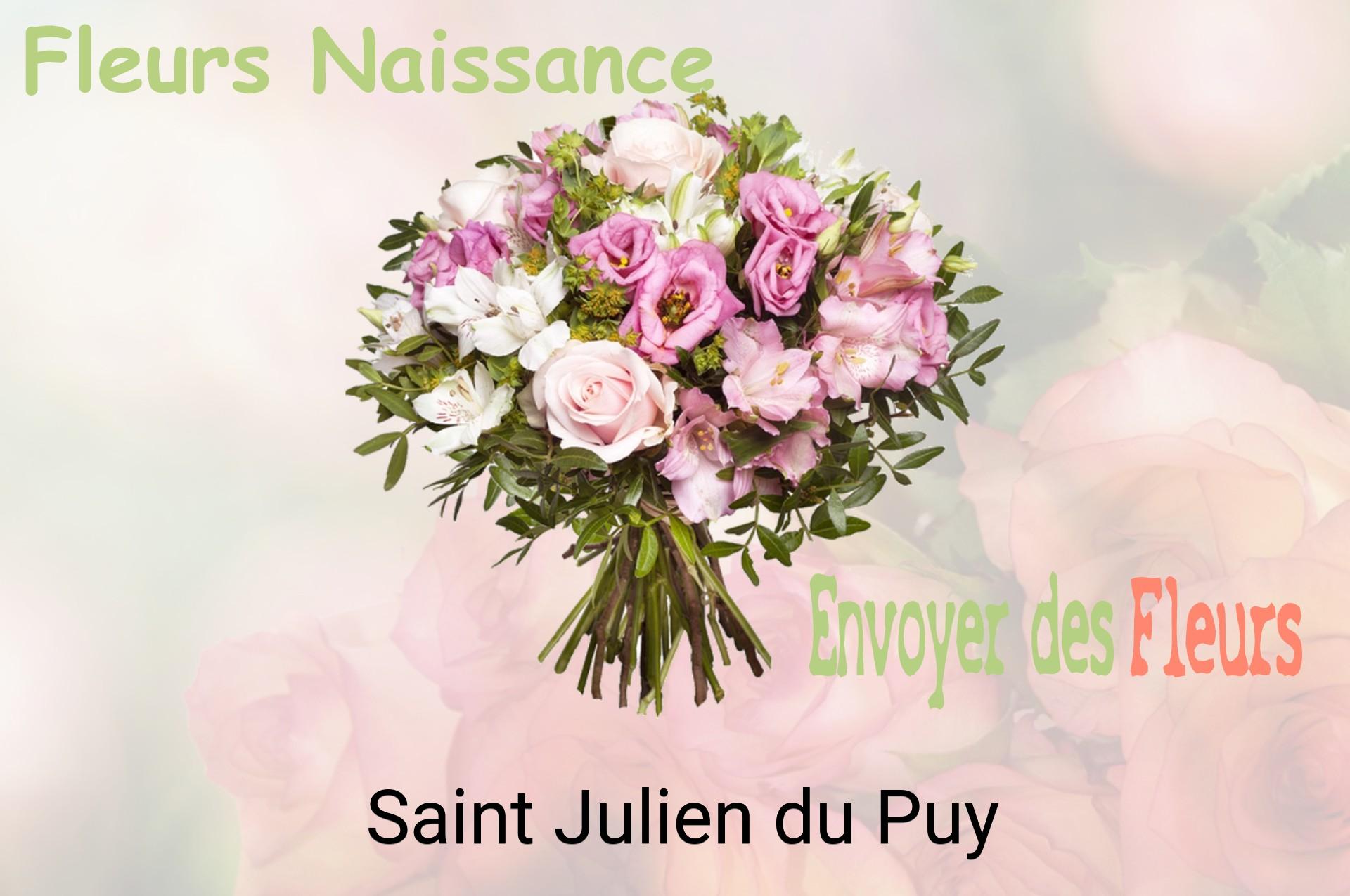Bouquet de fleurs de naissance livré à Saint-Julien-du-Puy